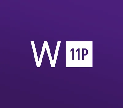 Windows 11